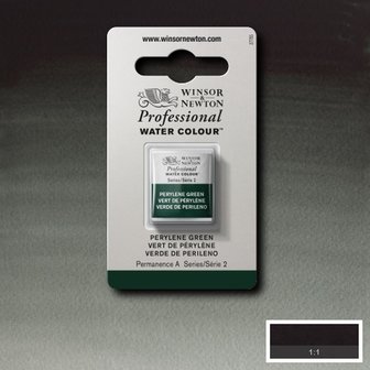 Perylene Green Serie 2 Professional Watercolour Half Napje van Winsor &amp; Newton Kleur 460