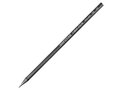 Product Foto 6B Houtloos grafietpotlood / woodless graphite pencil Caran d&#039;Ache Grafstone